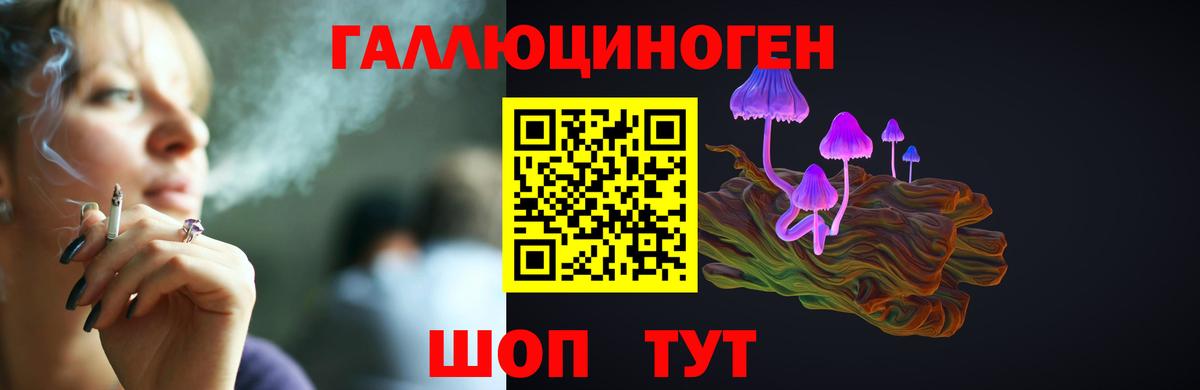 Галлюциногенные грибы Cubensis  Псилоцибиновые грибы прущие грибы  Тара  Вход с VPN 